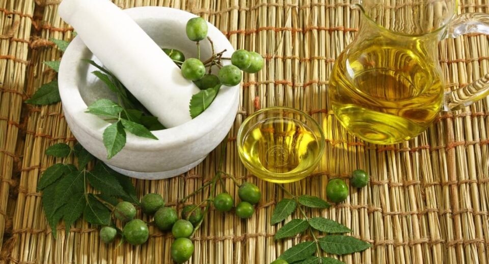 10-amazing-benefits-of-neem